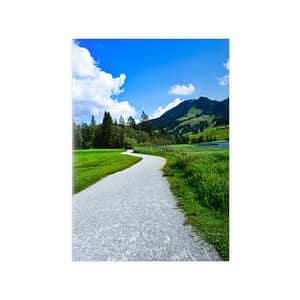 Forest poster Zwitserland