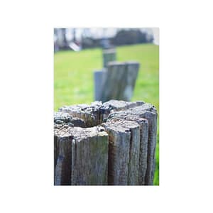 Rustic nature texture poster photographic