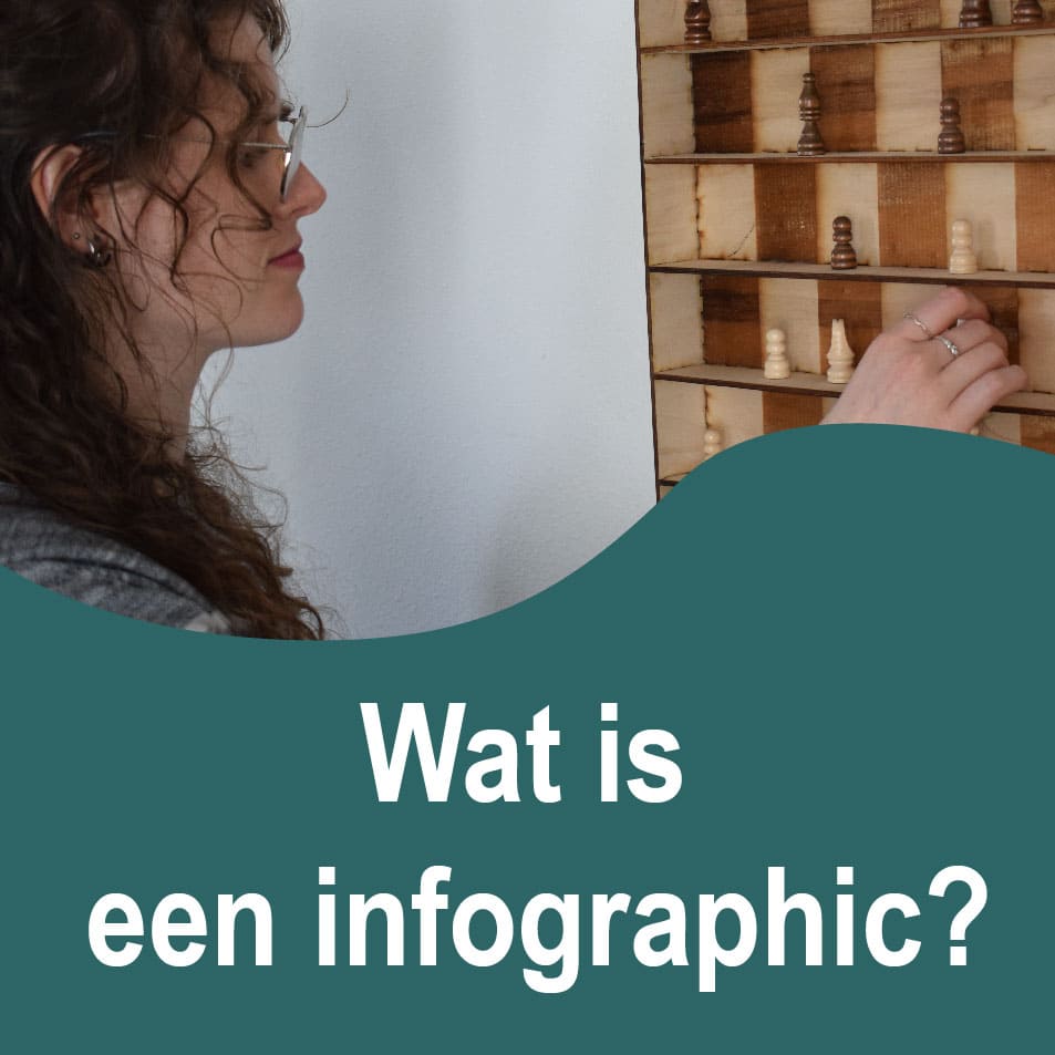 Eva Boonman Designs_wat is een infographic